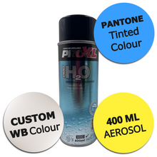 CUSTOM MIXED WATERBASED PANTONE COLOUR (AEROSOL)